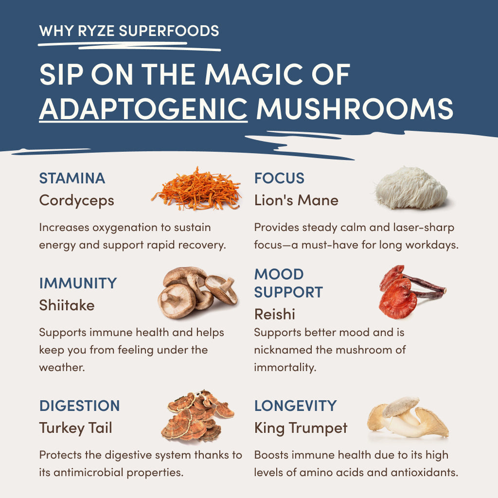 RYZE Nighttime Mushroom Cocoa Starter Bag - 8X8I