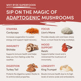 RYZE Mushroom Chai Starter Bag - TYF0