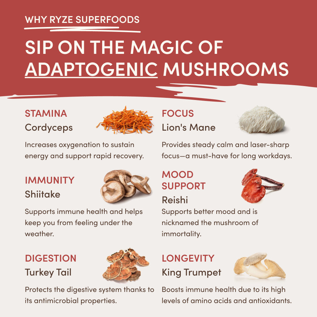 RYZE Mushroom Chai Starter Bag - TYF0