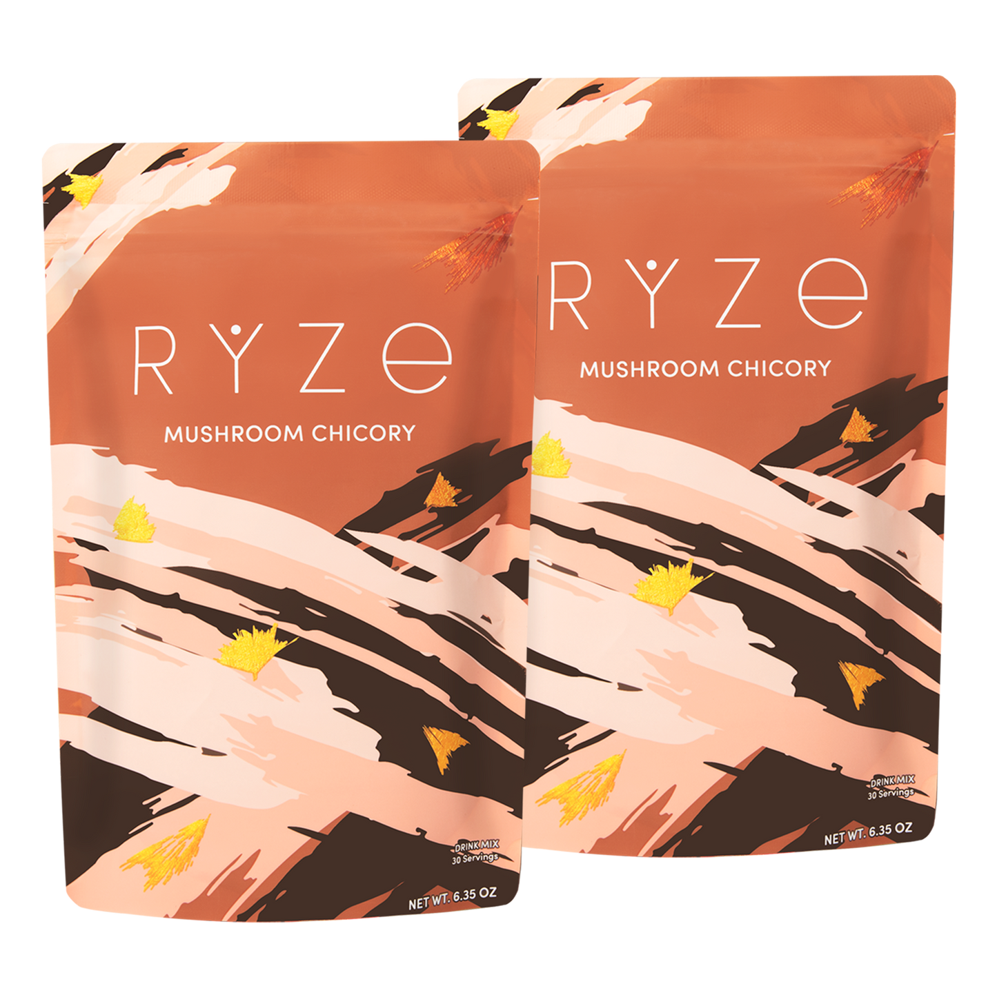 Mushroom Chicory Starter Kit: 60 servings - BZEZ
