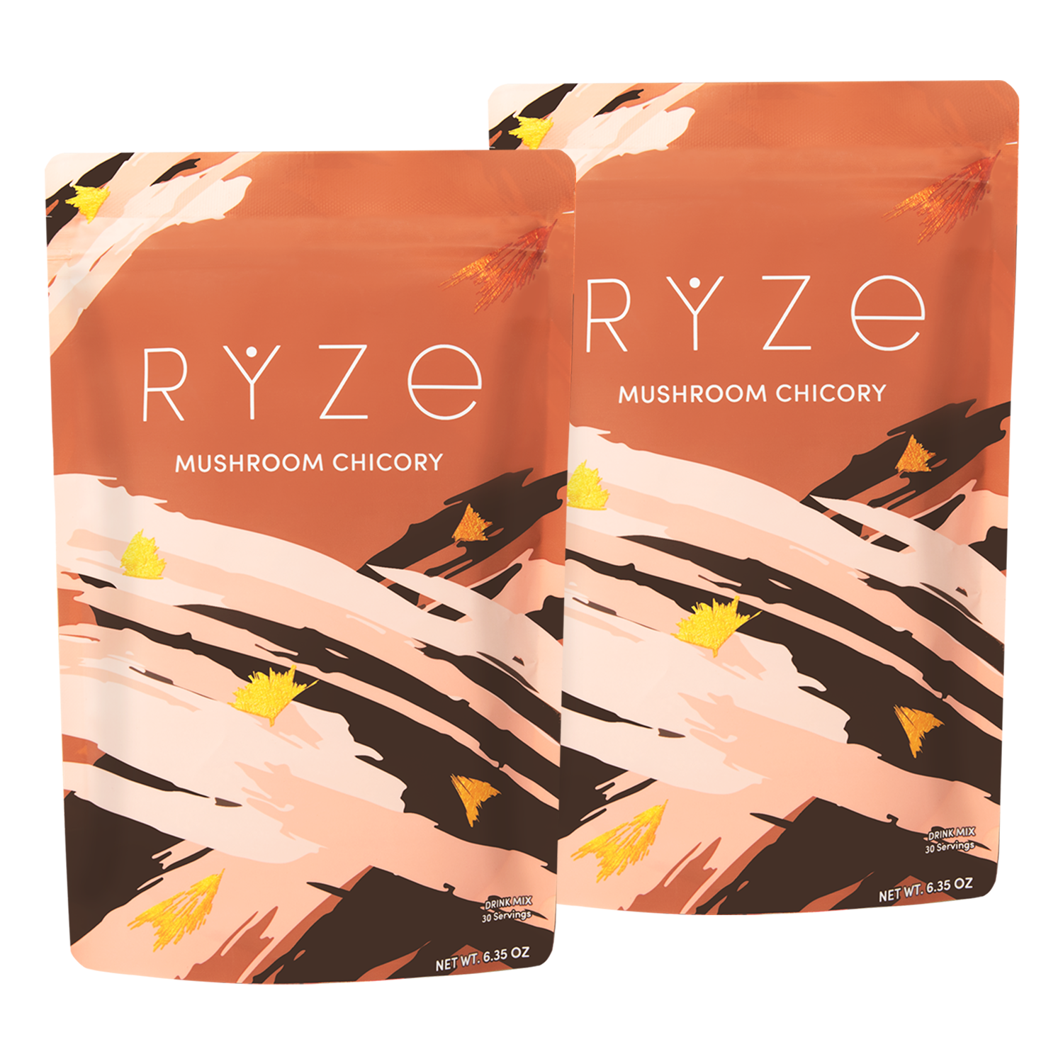 Mushroom Chicory Starter Kit: 60 servings - BZEZ