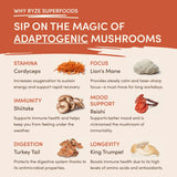 Mushroom Coffee (1 pack - 30 Servings) - UV49