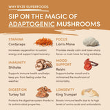 Mushroom Overnight Oats 14 Servings - 50TK