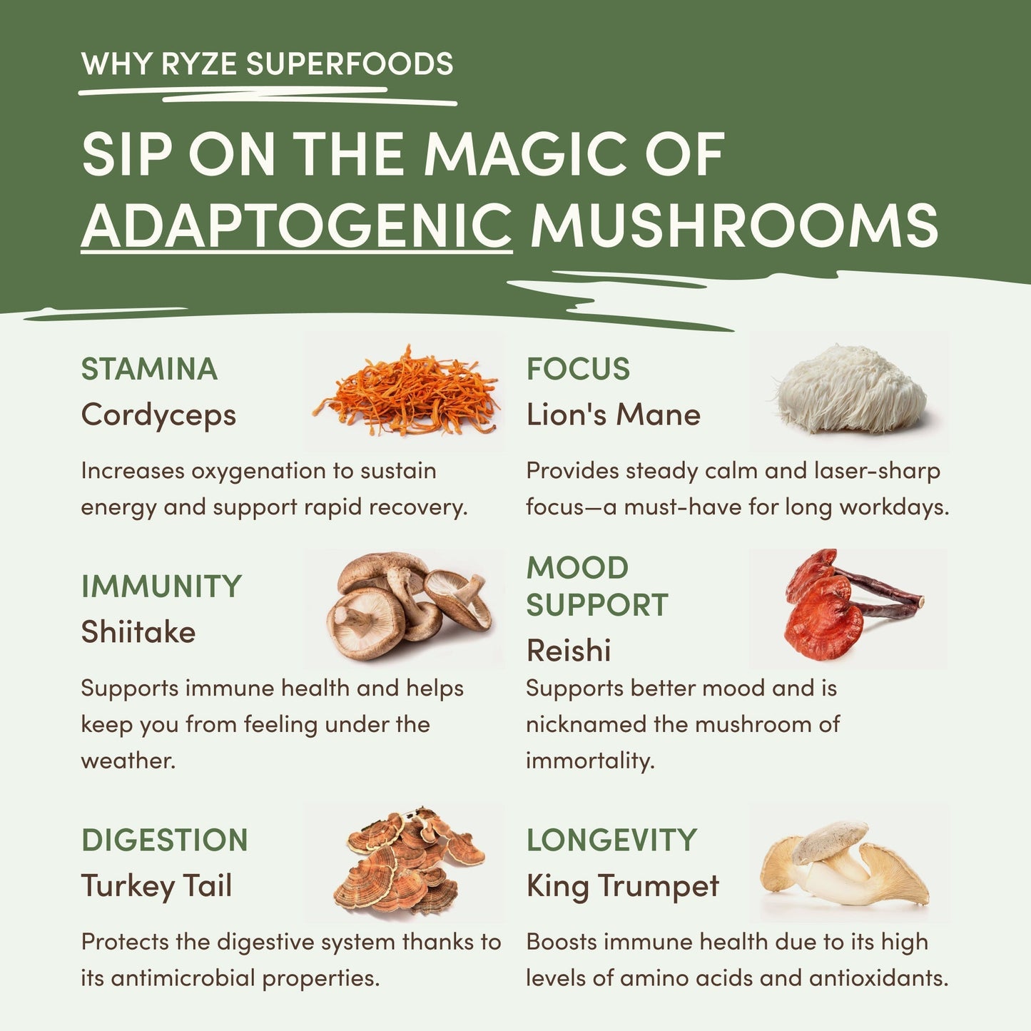 Mushroom Matcha (1 Pack - 30 Servings) - AGJO