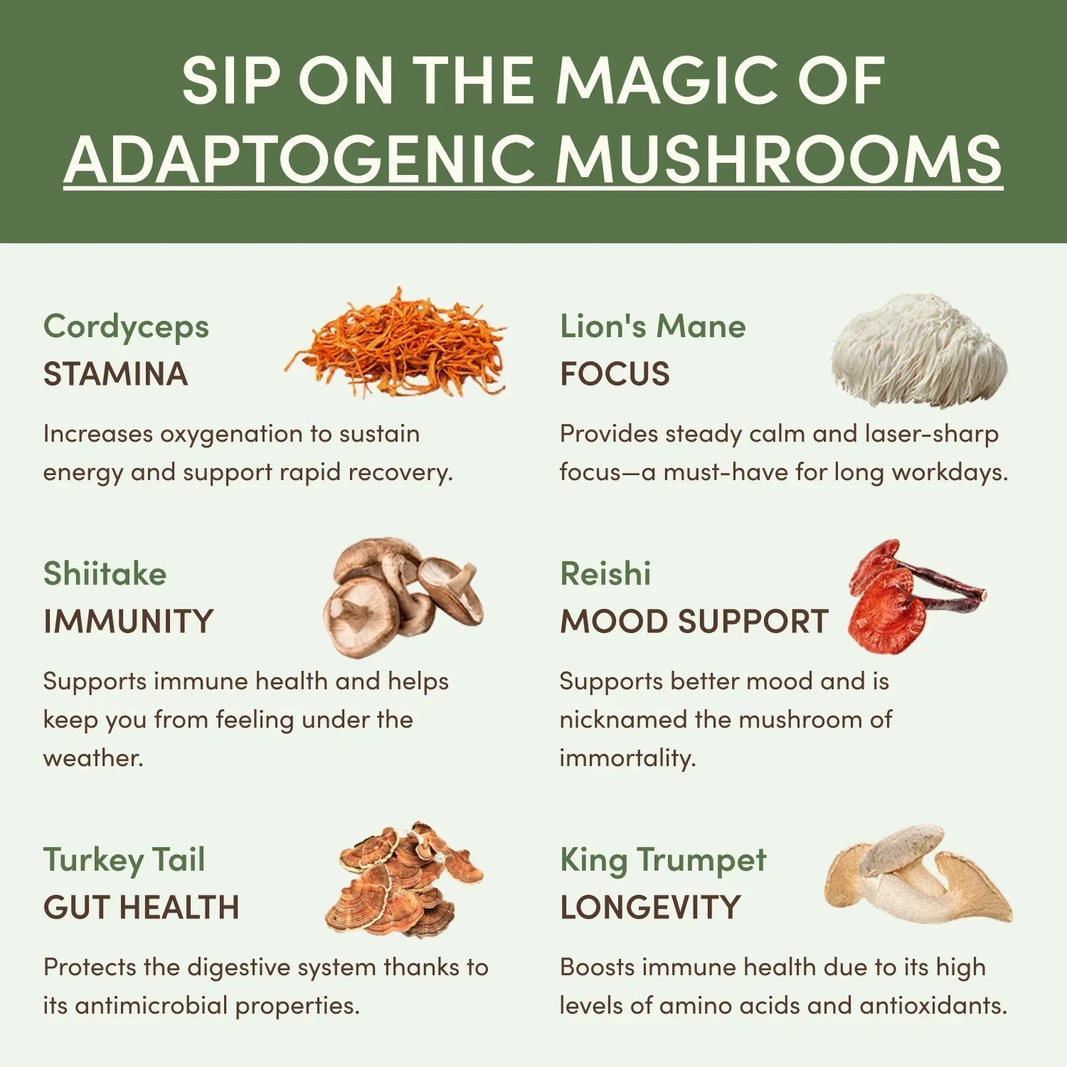 Mushroom Matcha Starter Kit (60 Servings) - GT6J