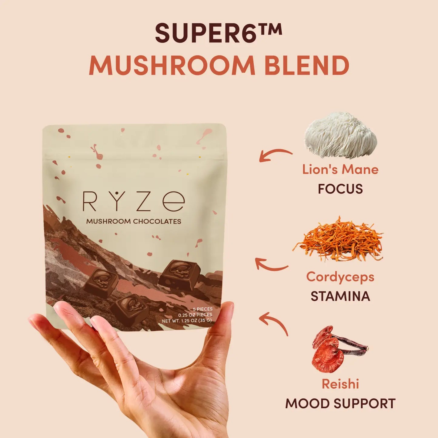 Mushroom Chocolates Rye (15 pieces) - V0N6