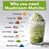 RYZE Organic Mushroom Matcha Starter Kit (60 servings) - IGGD
