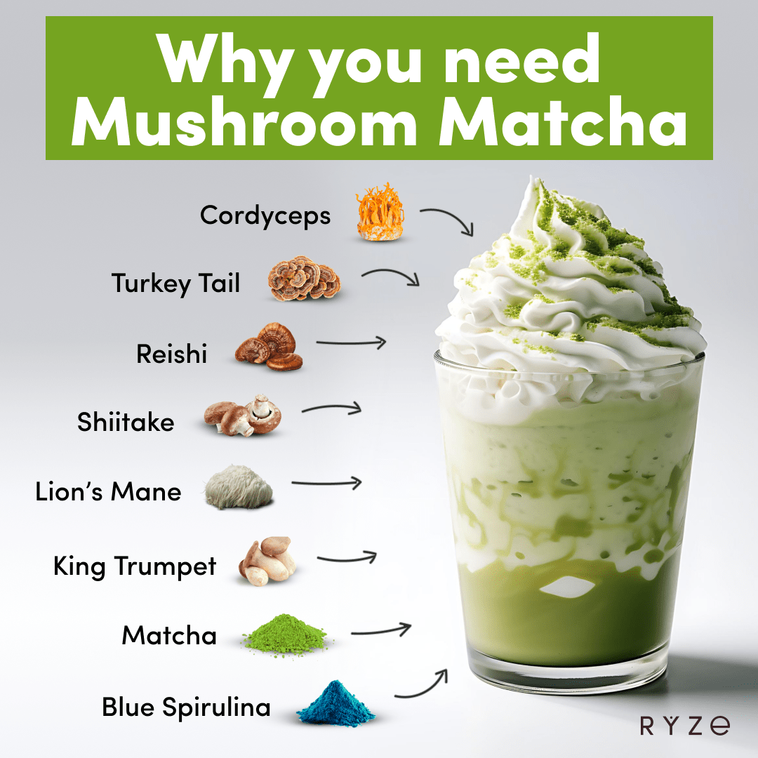 RYZE Organic Mushroom Matcha Starter Kit (60 servings) - IGGD