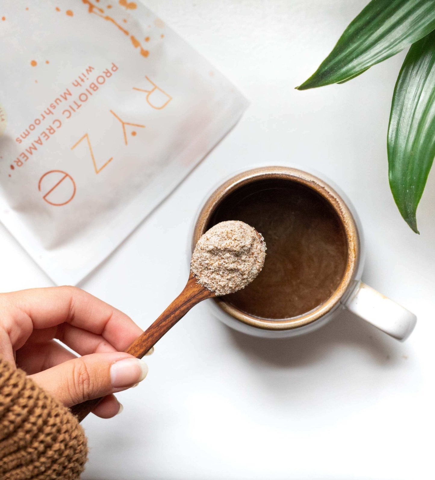 Try our Probiotic Creamer for 50% OFF! - 02AS